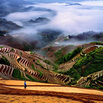 Guilin - Longsheng Dragon's Backbone Rice Terrace Round Trip